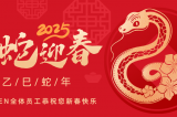 辭舊迎新，蛇舞華章丨深圳容金科技全體員工祝您新春快樂！